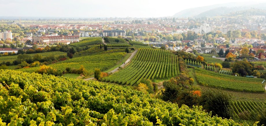 Bad Dürkheim zählt zu den Top 20 der fotogensten Kleinstädte Deutschlands