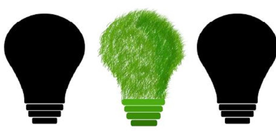Drei Glühbirnen mit einer grünen in der Mitte. Symbol für Klimaschutz.