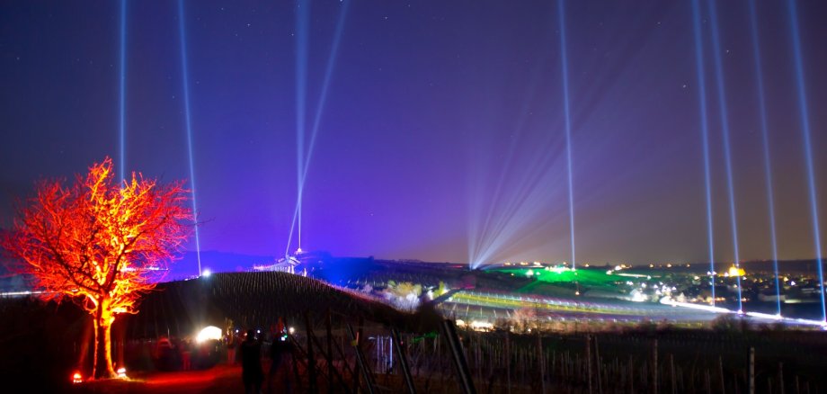 Illuminierte Weinlagen Bad Dürkheims bei Nacht zur Bad Dürkheimer Weinbergnacht. Links im Bild ist ein rot angestrahlter Baum zu sehen, weiter hinten verschiedene Laser und grün beleuchtete Weinberge