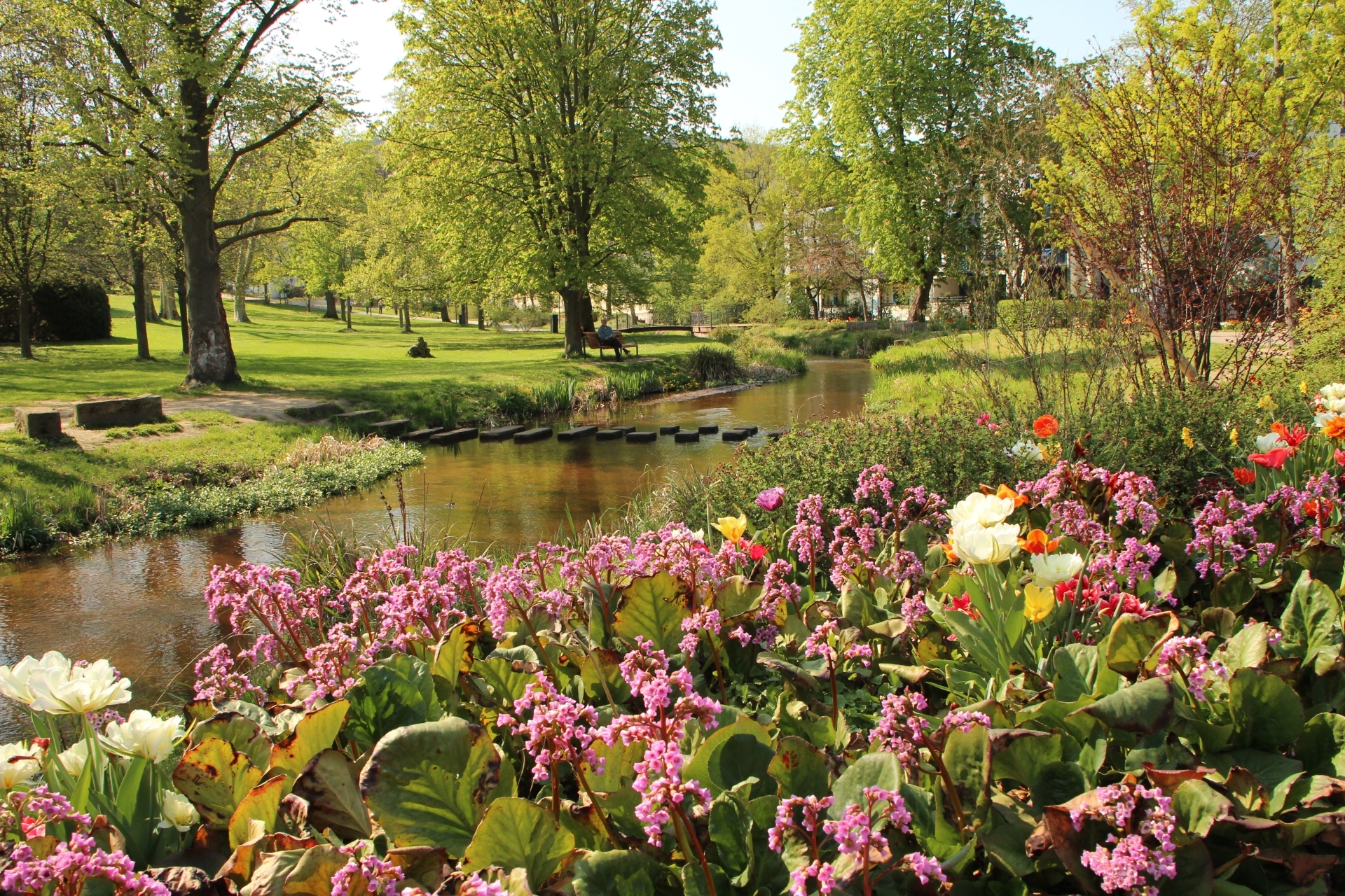 Floraler Kurpark im Frühling mit Isenach 
