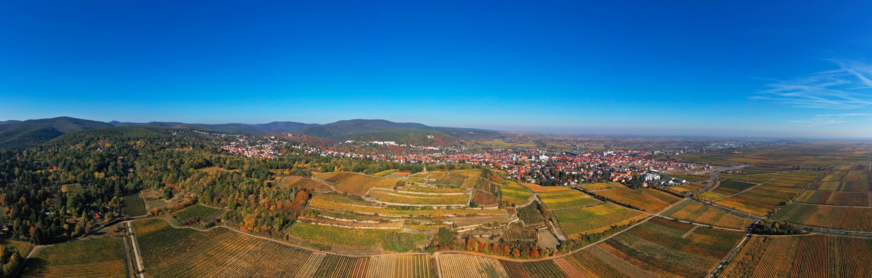 Panorama von Bad Dürkheim mit Weinbergen