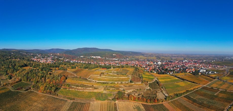 Panorama von Bad Dürkheim mit Weinbergen