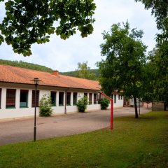 Schulgebäude im Grünen