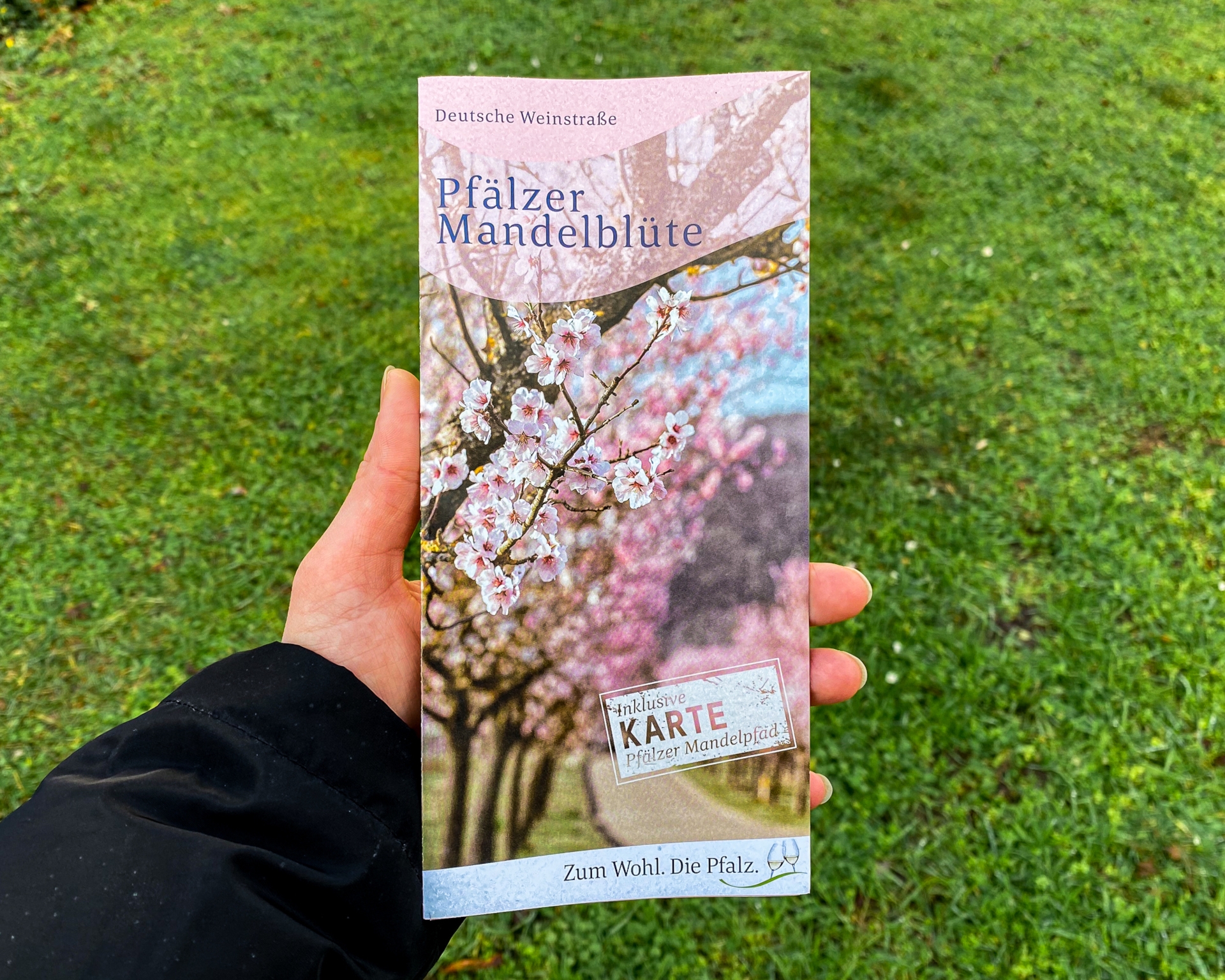 pfalz_weinstrasse_bad_duerkheim_mandelbluete_flyer_2023 pfalz_weinstrasse_bad_duerkheim_mandelbluete_flyer_2023