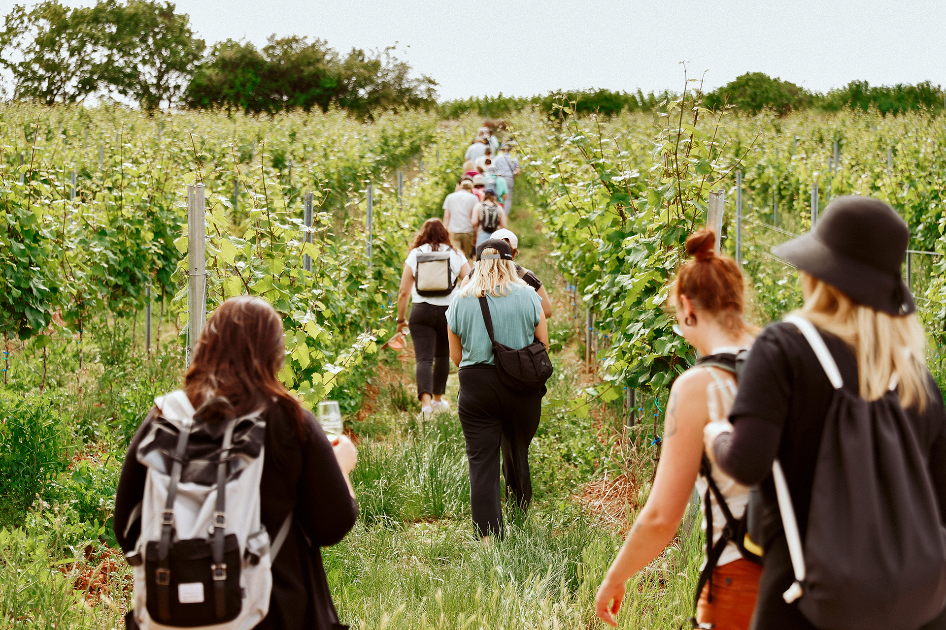Weinwanderung durch die Bad Dürkheimer Weinberge Weinwanderung durch die Bad Dürkheimer Weinberge