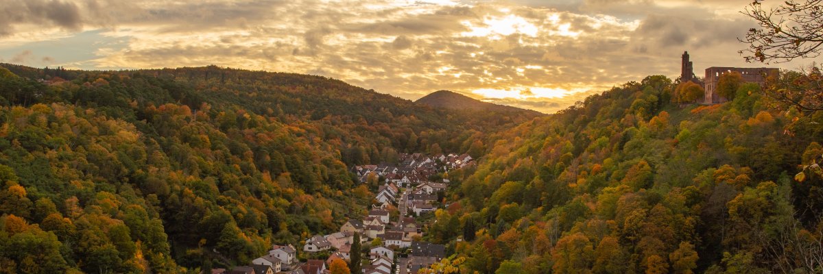 Stadtansicht Tal Stadtansicht Tal