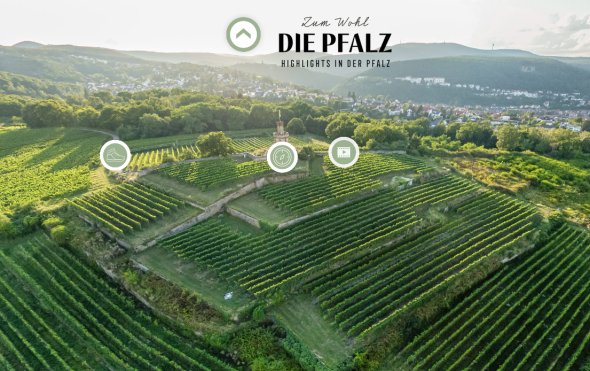 Panorama des Flaggenturms, der Weinlage Fuchsmantel und Pfälzerwald im Hintergrund