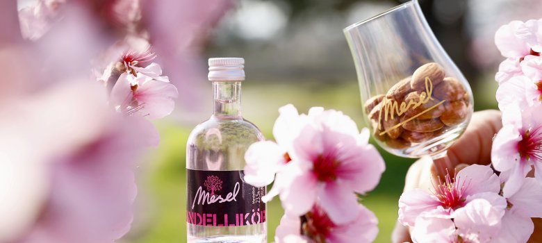 Mandellikör vom Weingut Mesel Mandellikörflasche mit Blick durch Mandelblütenzweige ind einem Glas gefüllt mit Mandeln.