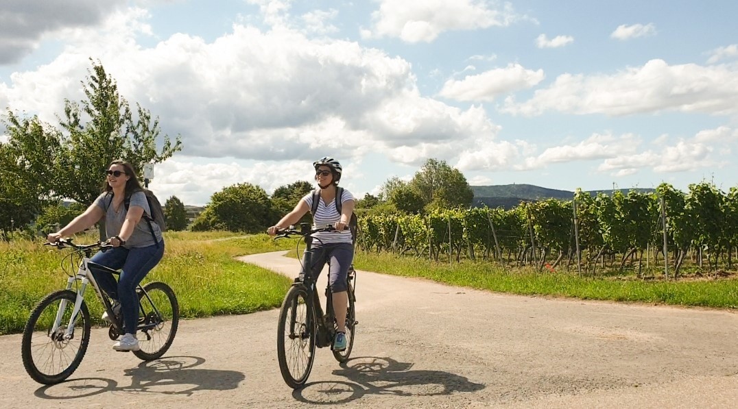 Zwei Radfahrerinnen fahren auf einem asphaltierten Weg durch die Weinberge. Sie biegen an einer Gabelung ab.