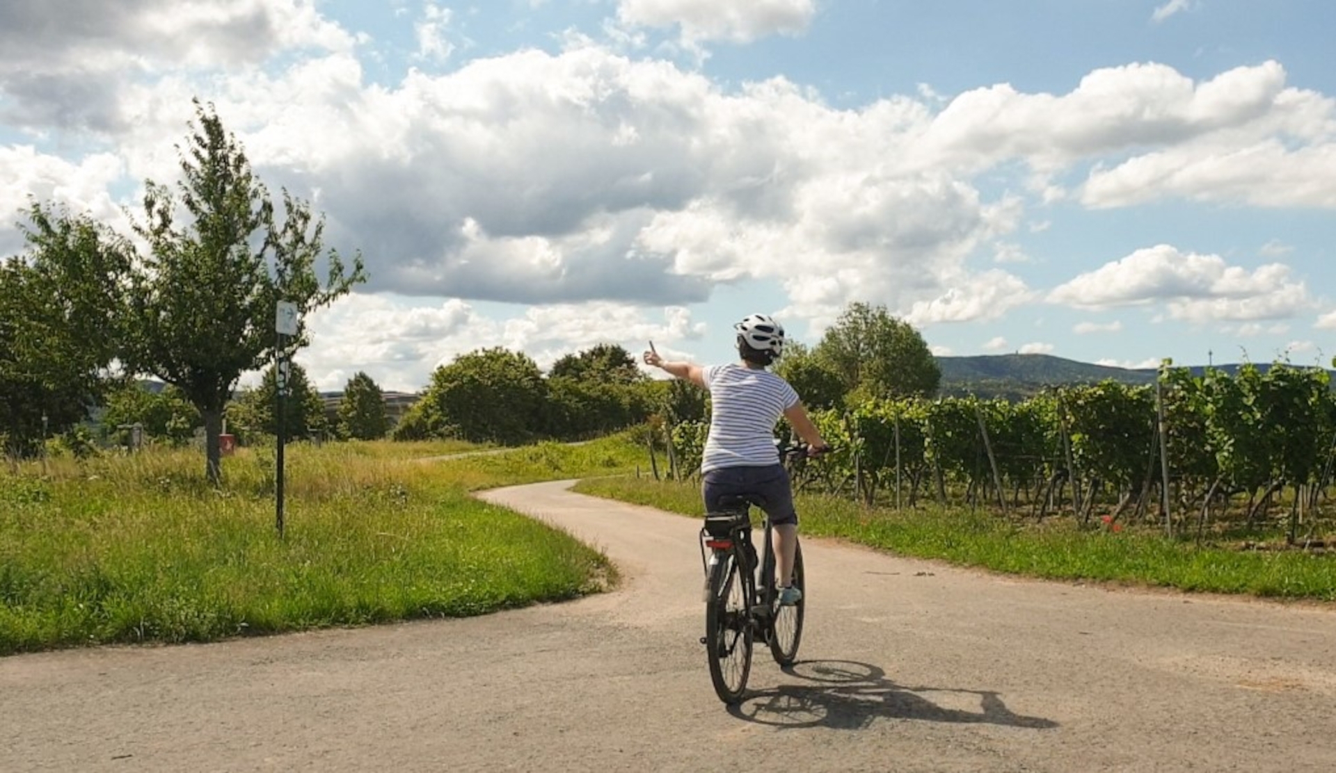 Radfahrerin in den Weinbergen Eine Radfahrerin auf einem Radweg durch die Weinberge, ist mit dem Rücken zu uns gewandt auf dem Fahrrad und deutet auf eine Radwegbeschilderung.