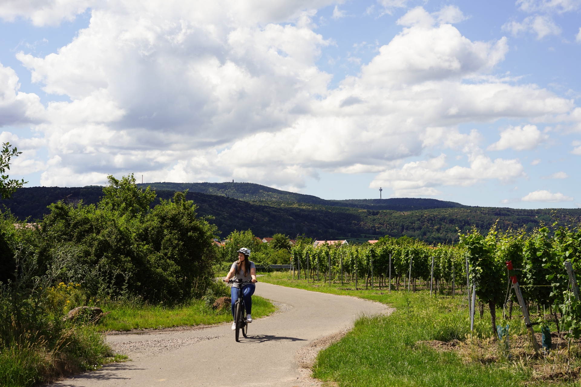 Radfahrerin radelt auf uns zu Eine Radfahrerin die auf einem asphaltierten Weg durch die Weinberge auf uns zu fährt. Im Hintergrund erstreckt sich der Pfälzerwald.
