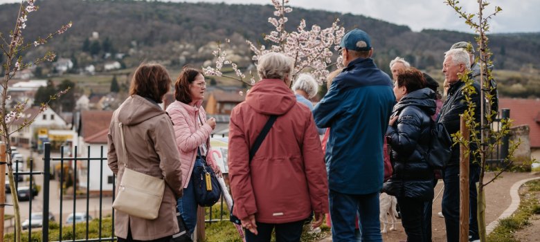 Gästeführung auf der Mandelterrasse Gästeführung auf der Mandelterrasse