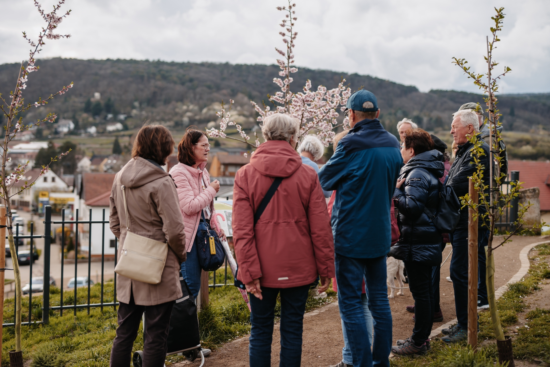 Gästeführung auf der Mandelterrasse
