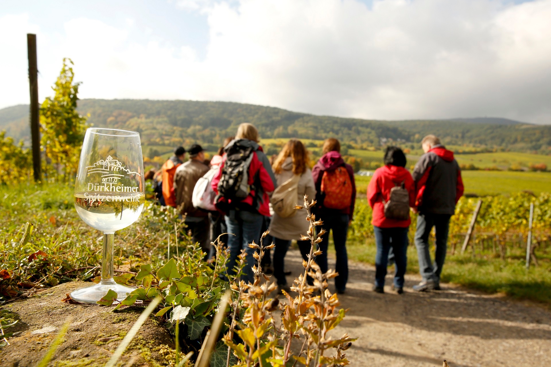 Weinglas im Weinberg Im Vordergrund steht ein mit Weißwein gefülltes Weinglas mit der Aufschrift "Dürkheimer Spitzenweine" auf einer Mauer im herbstlichen Weinberg. Im Hintergrund die Gruppe der Weinwanderung mit Weinprobe.