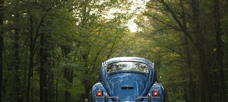 Blick auf einen blauen VW Käfer, der von hinten zu sehen ist und eine kleine Straße im Wald entlang fährt. 