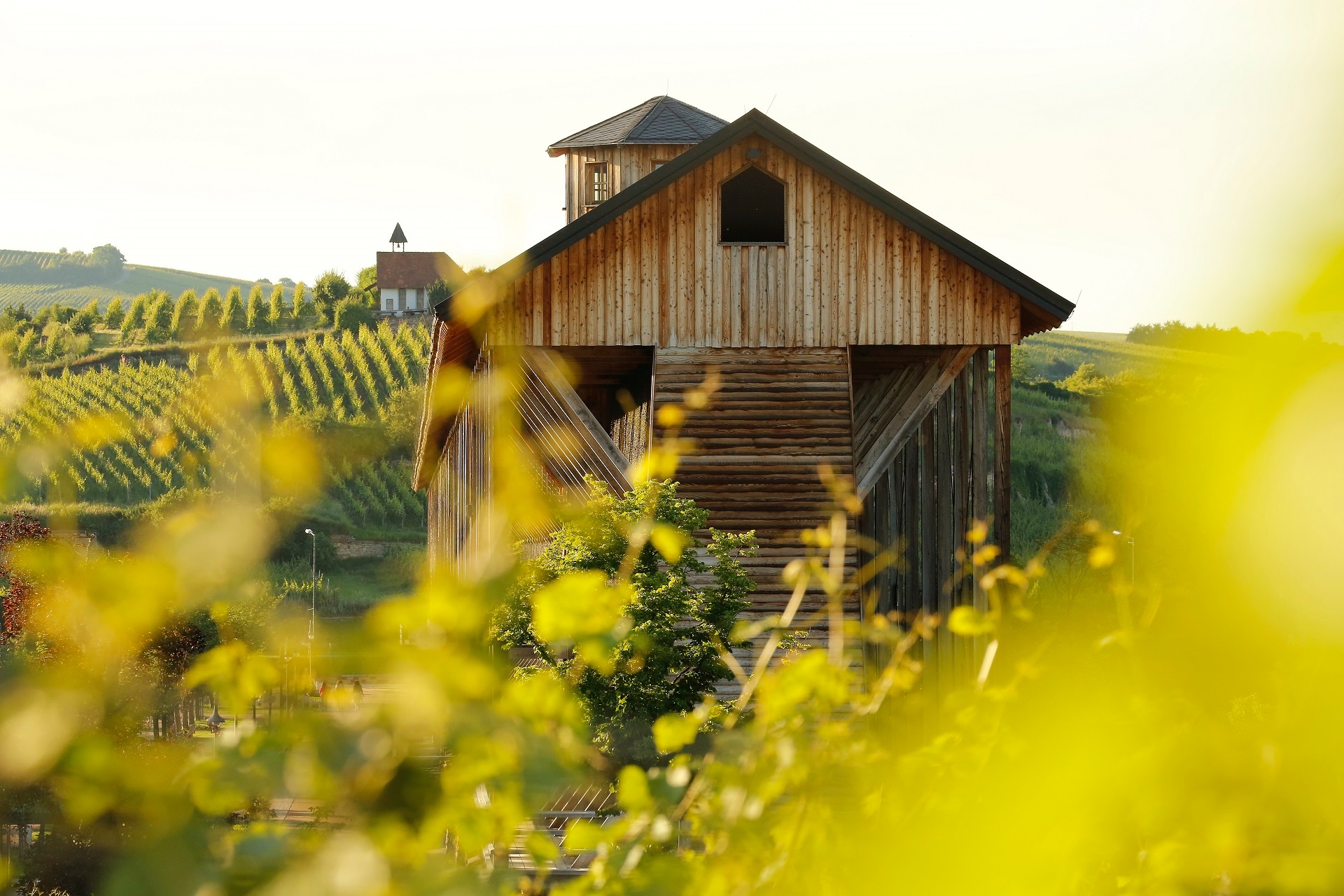 Der Gradierbau von der Südseite in der Abendsonne, im Vordergrund eine Zypresse und Weinreben. Im Hintergrund ist der Michelsberg mit der Michaeliskapelle zu erkennen. Der Vordergrund wird durch verschwommene Weinreben geziert.