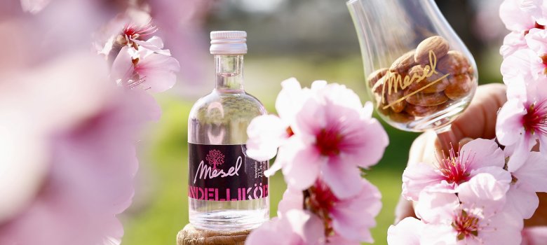 Mandellikörflasche mit Blick durch Mandelblütenzweige ind einem Glas gefüllt mit Mandeln.