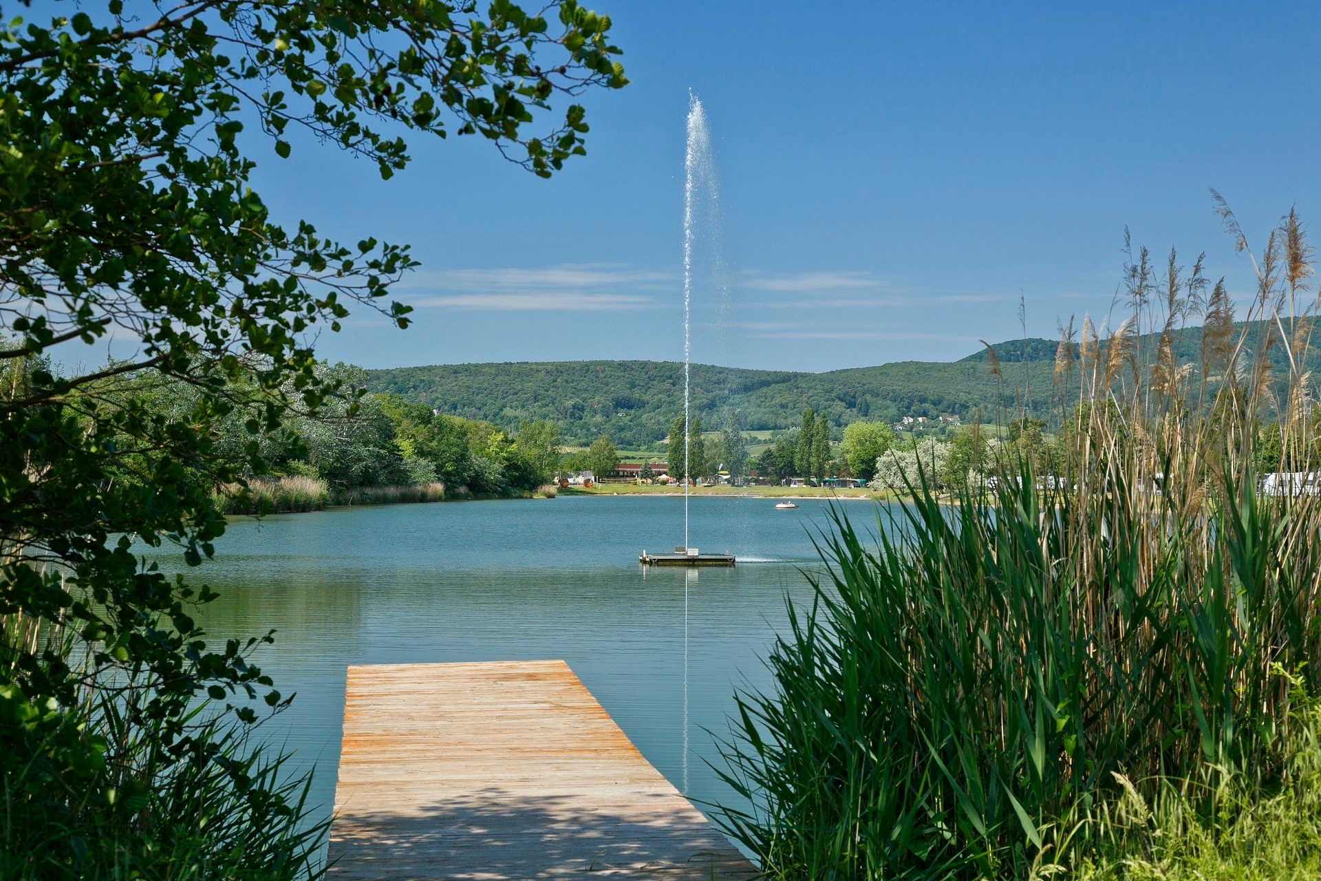 Im Vordergrund ist ein Holzsteg über dem Wasser des Almensees zu sehen, rechts im Bild einige Schilfpflanzen. In der Mitte des Sees eine steigt eine hohe Wasserfontaine empor. Im Hintergrund ist der Pfälzerwald zu sehen.
