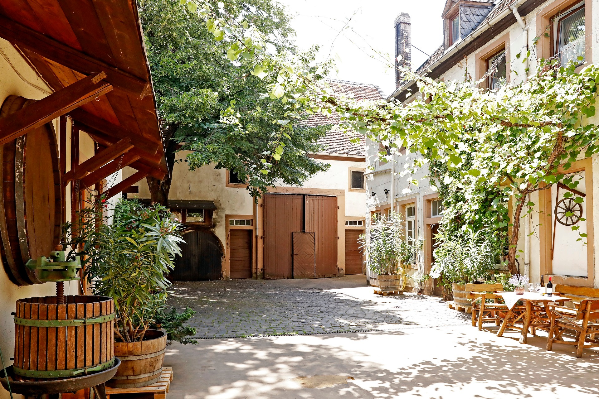 Der Innenhof des Weingut Grauer in Bad Dürkheim. Rechts im Bild eine gemütliche Sitzgelegenheiten aus Holz mit einem Holztisch, obendrüber hängen quer durch den Hof grüne Weinreben und links im Bild sind weitere grüne Pflanzen und eine Fassdaube hängt an der weißen Hausfassade. Hinten im Bild ist ein großes braunes Holztor zu sehen.