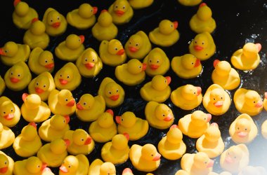 Bad Dürkheimer Rennenten