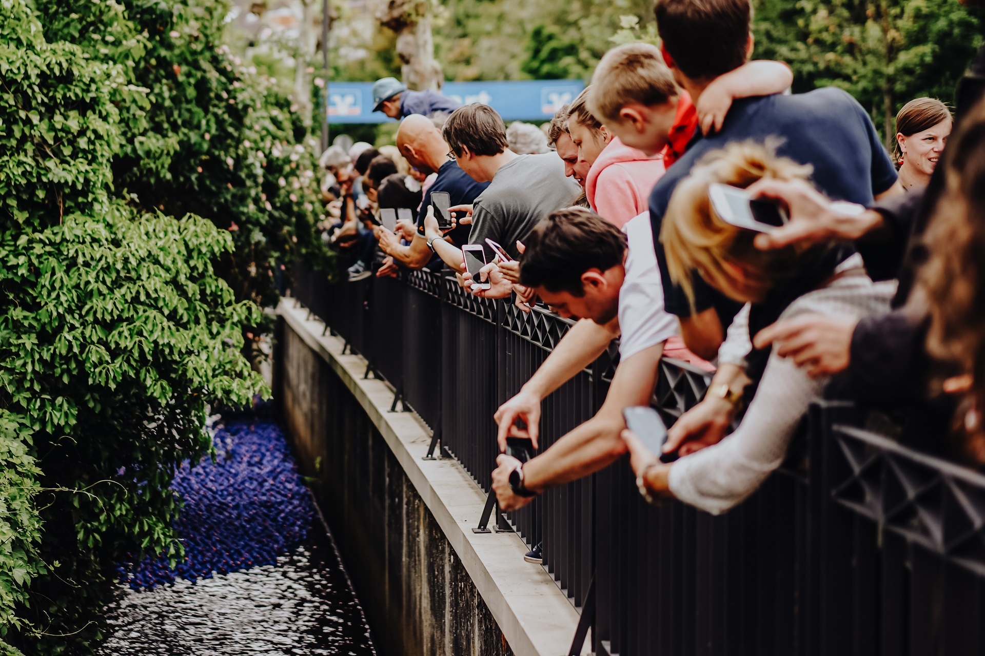 Im Vordergrund stehen die Zuschauer vom Entenrennen welche sich von der Brücke im Kurpark runterlehnen, um ein Bild von den dunkelblauen Enten in der Isenach zu machen. Die Zuschauer machen die Bilder mit Ihren Smartphones.