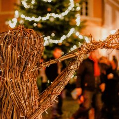Im Fokus ein Engel aus Stroh, der auf einer Posaune spielt. Eine Lichterkette beleuchtet den Engel. Im Hintergrund ist der Dürkheimer Advent und ein beleuchteter Weihnachtsbaum zu sehen.