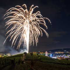 Feuerwerk über dem Michelsberg mit Bad Dürkheim im Hintergrund. Das Feuerwerk erstrahlt in den Farben blau, weiß und gelb. Die Fontäne ähnelt einer Palme.