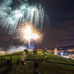 Feuerwerk über dem Michelsberg mit Bad Dürkheim im Hintergrund. Das Feuerwerk erstrahlt in den Farben blau, weiß und gelb. Die blauen Lichter fallen wie angereihte Regentropen vom Himmel.