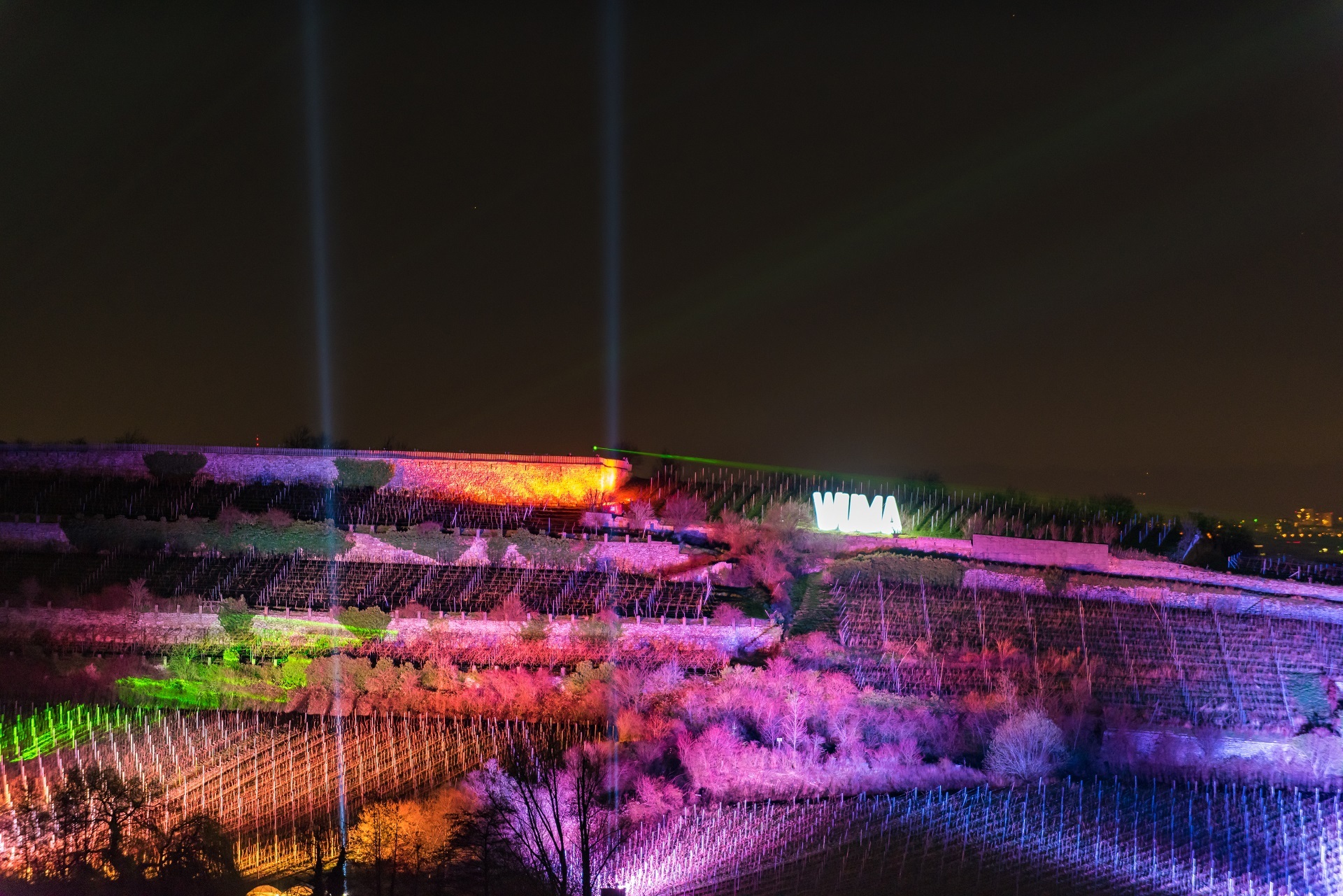 Zur Weinbergnacht werden die Weinberge in verschiedenen Farbtönen und Lasershows beleuchtet.