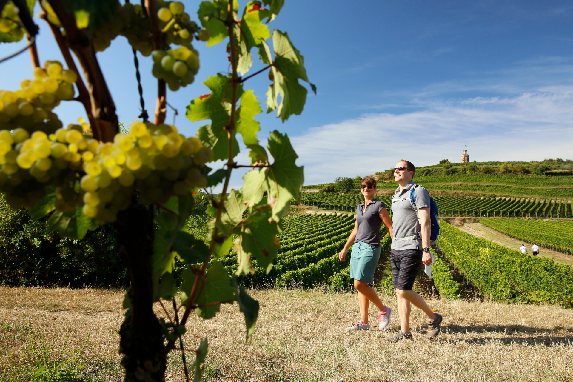 Ein Pärchen wandert durch die Weinberge unterhalb des Flaggenturms. Im Vordergrund sind verschwommene Weinblätter zu erkennen.