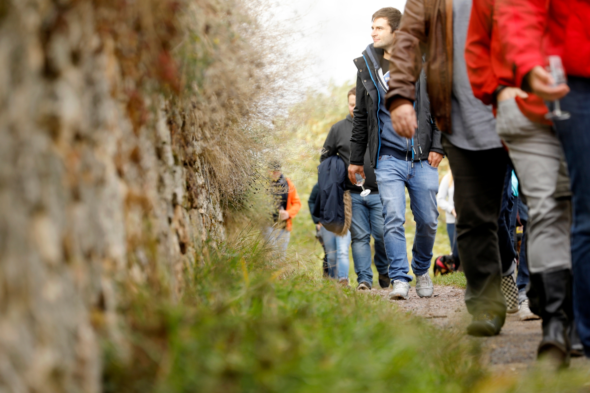 Links auf dem Bild eine Sandsteinmauer. Vor dieser Mauer führt ein Wirtschaftsweg durch die Weinberge. Auf diesem sieht man hauptsächlich die Beine einer Gruppe der Weinwanderung mit Weinprobe. 