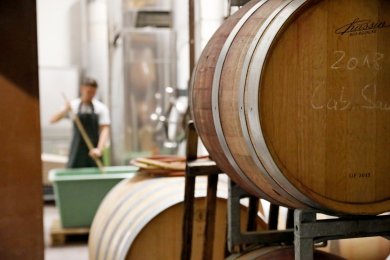 Weinkeller im Weingut Pflüger Weinkeller im Weingut Pflüger