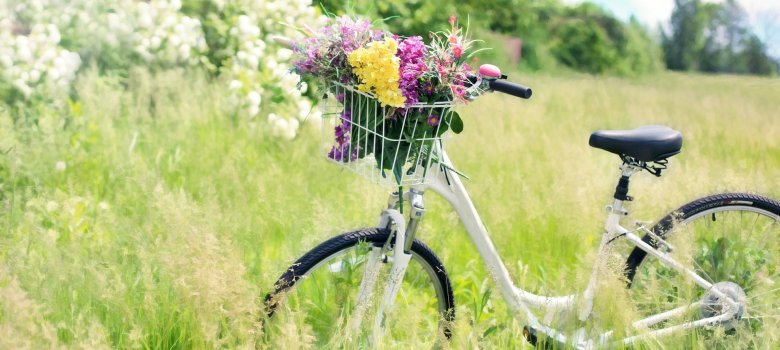 Fahrrad mit Blumenstrauß auf einer Wiese