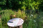 Blumenwiese und Infotafel