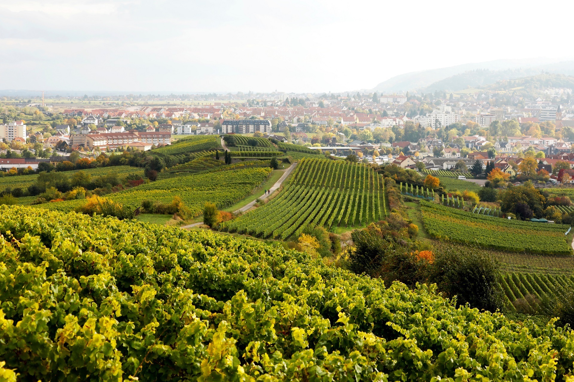 Panormaansicht Bad Dürkheim Panormaansicht Bad Dürkheim