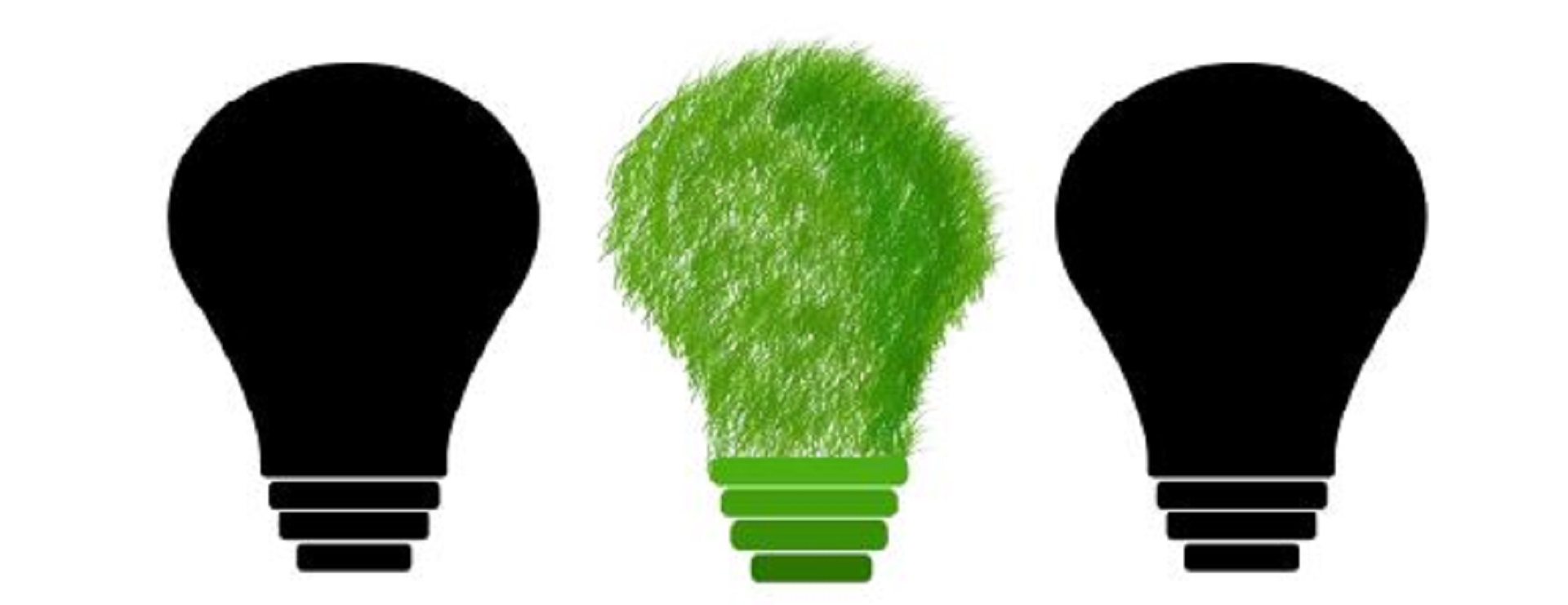 Klimabürger:in gesucht Drei Glühbirnen mit einer grünen in der Mitte. Symbol für Klimaschutz.