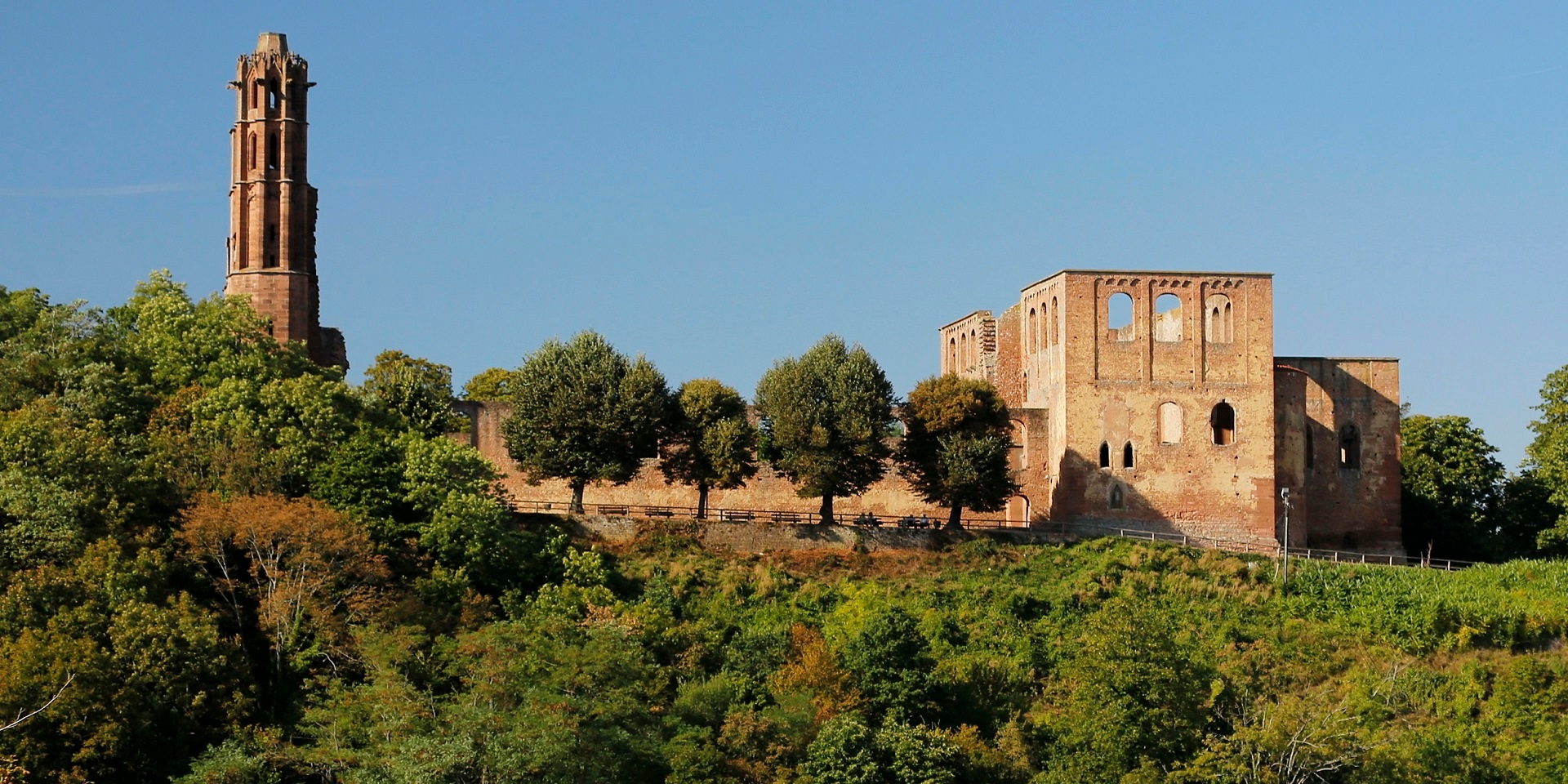 Klosterruine Limburg Klosterruine Limburg im Wald