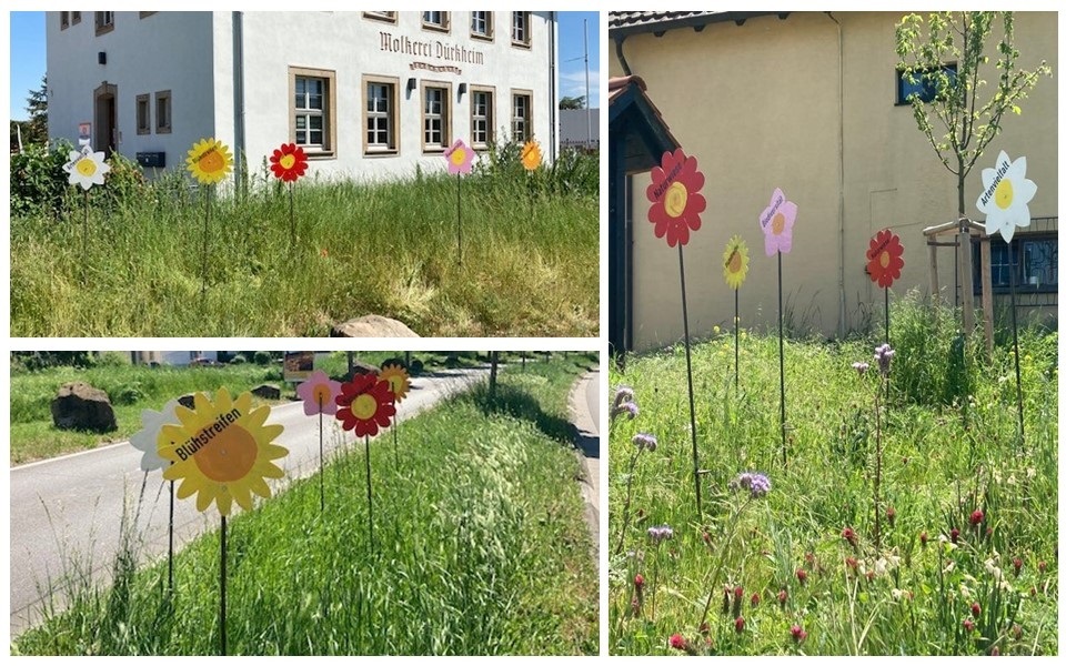 Bunte Blumen aus Metall in Wiesenfeldern