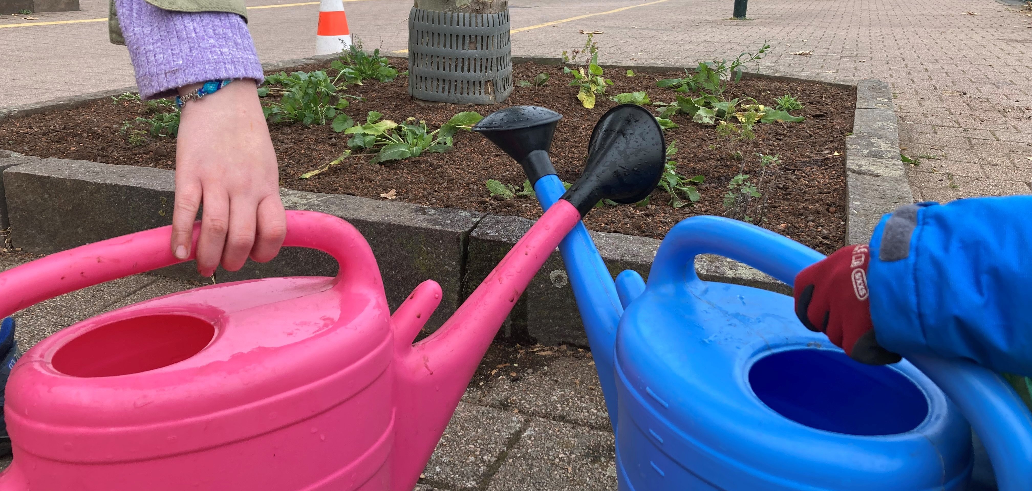 Herbstzauber im Herzen der Stadt: Baubetriebshof und JuKiB starten gemeinsame Pflanzaktion