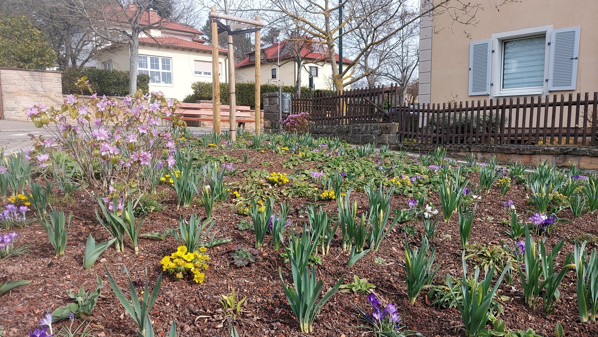 Grünfläche in Seebach Neu angelegte Grünfläche mit Pflanzen im Ortsteil Seebach