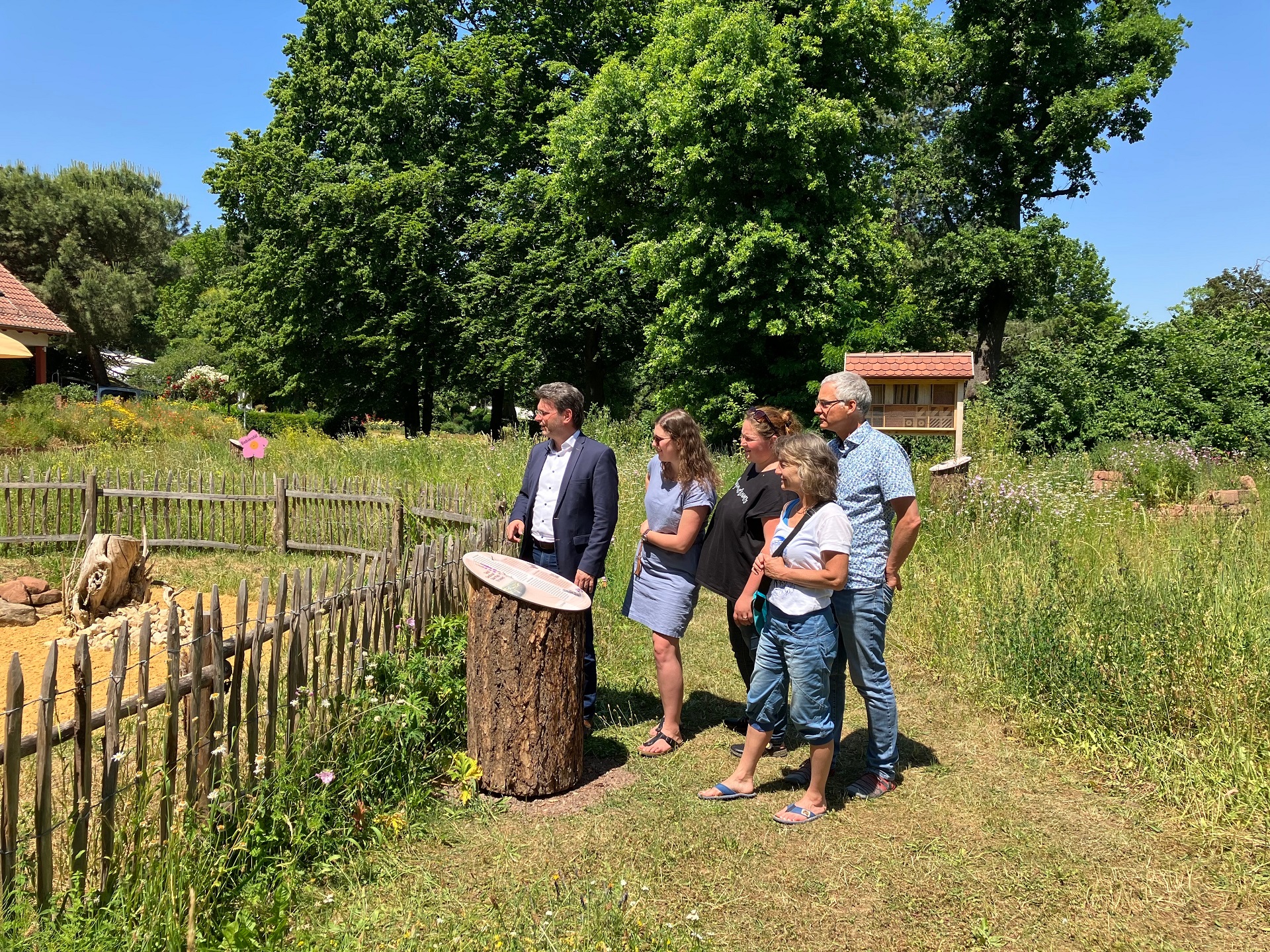 Projekt Papillon Projekt Papillon Bad Dürkheim