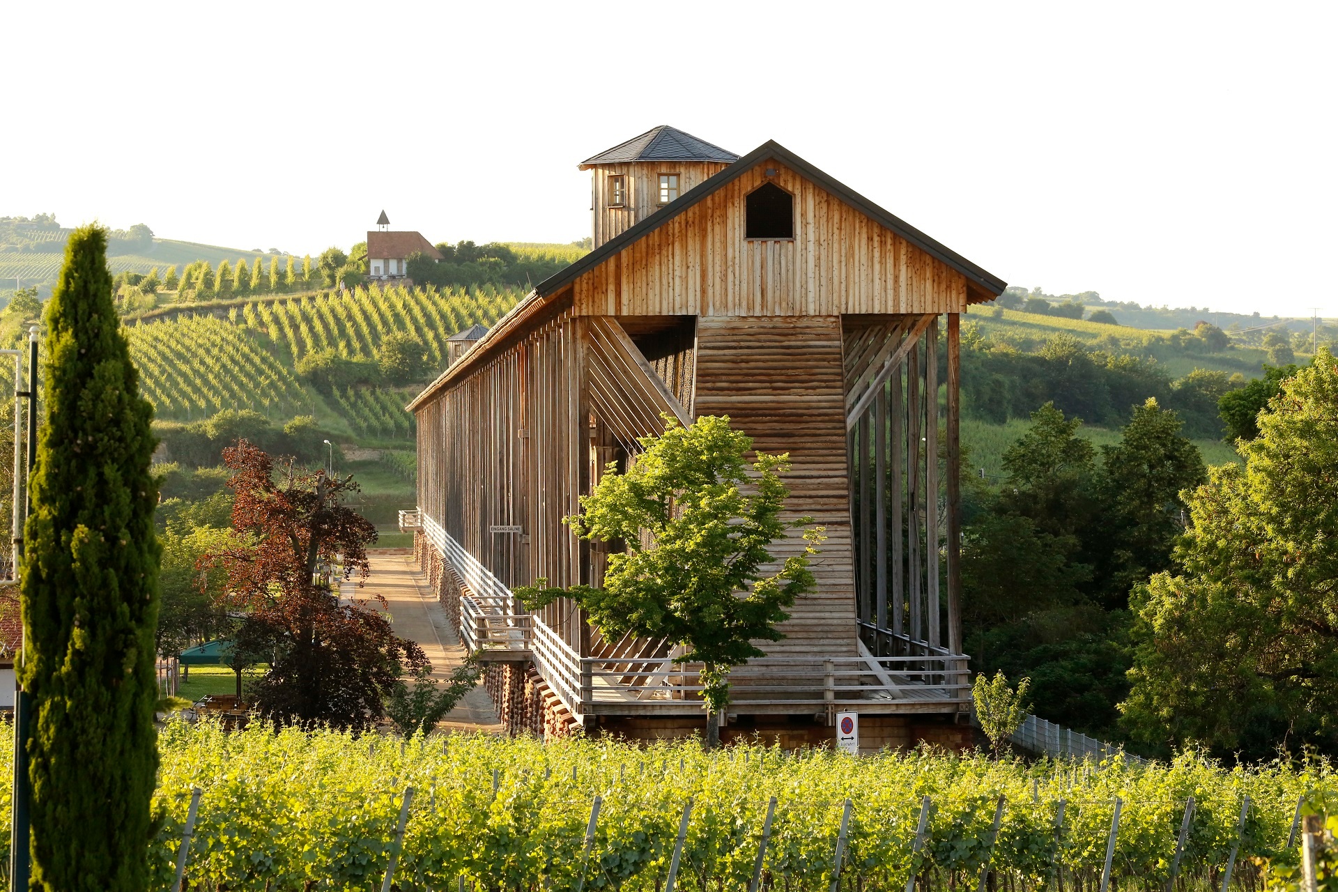 Gradierbau in Bad Dürkheim mit Weinbergen