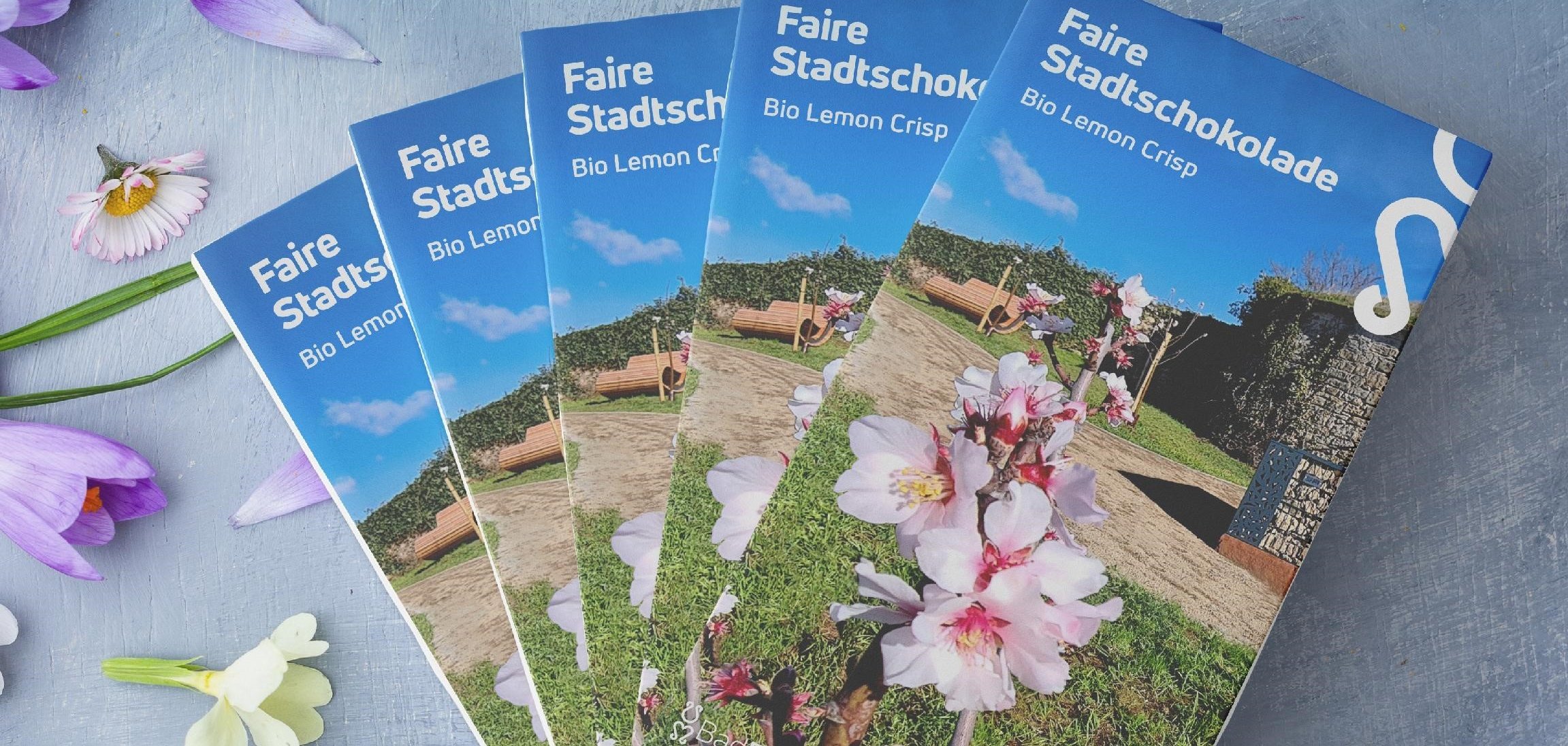 Frühjahrsedition Stadtschokolade 2024 | Lemon Crisp