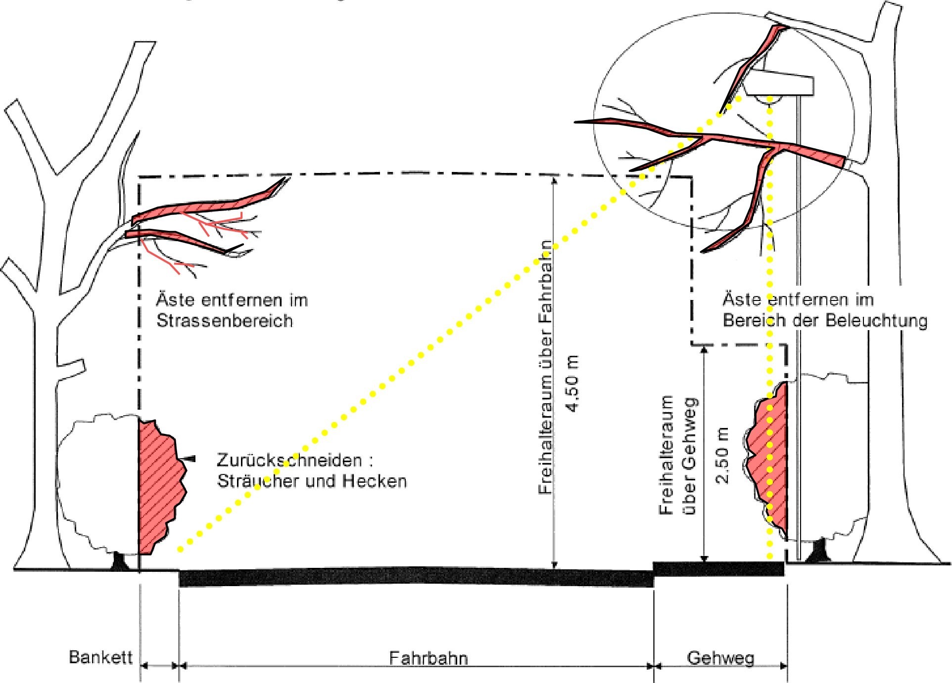 Anleitung zur Pflege der Grünanlagen | Rückschnitt