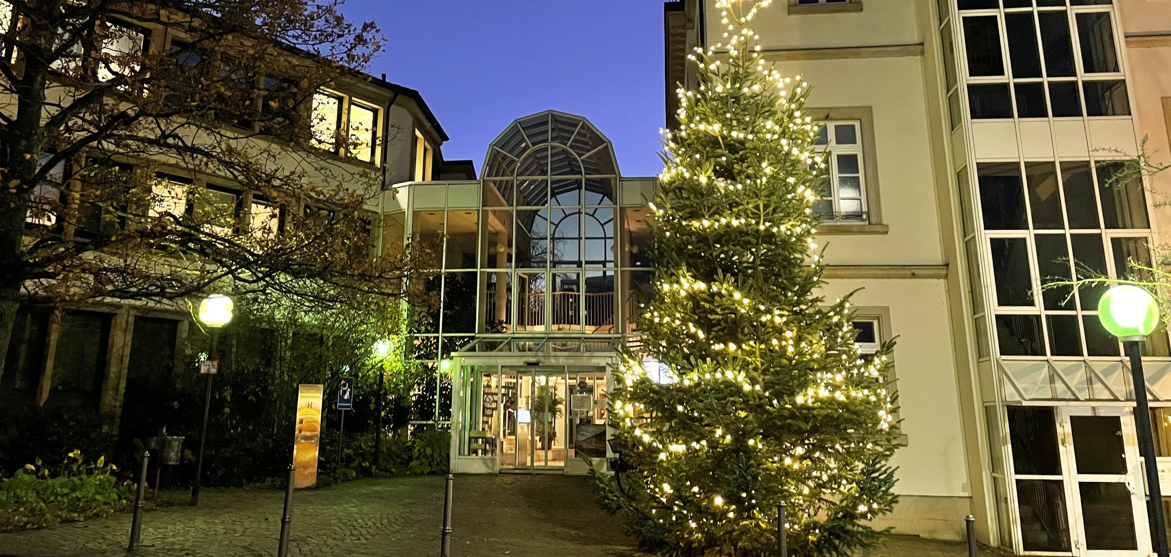 Weihnachtsbaum vorm Rathaus