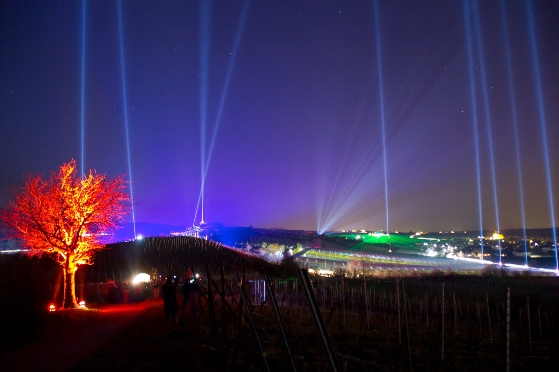 Illuminierte Weinlagen Bad Dürkheims bei Nacht zur Bad Dürkheimer Weinbergnacht. Links im Bild ist ein rot angestrahlter Baum zu sehen, weiter hinten verschiedene Laser und grün beleuchtete Weinberge