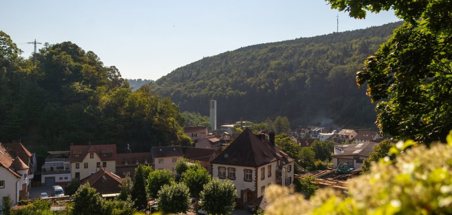 Ortsteil Hardenburg Ortsteil Hardenburg