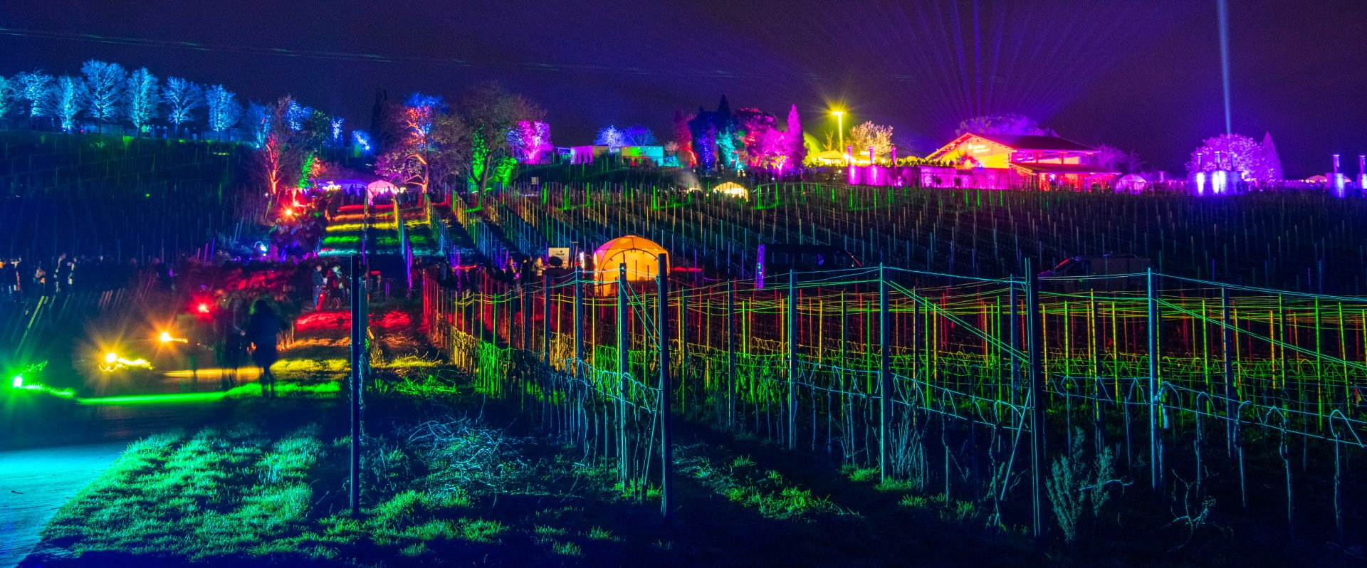 Weinbergnacht Bad Dürkheim