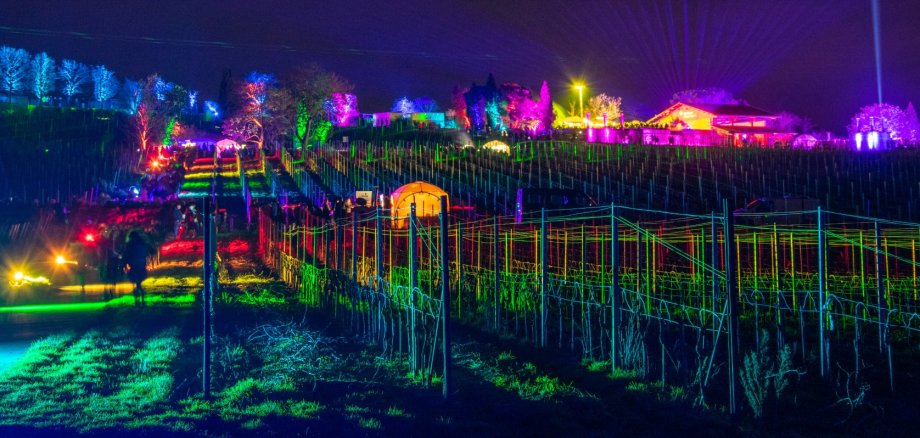 Weinbergnacht Bad Dürkheim Weinbergnacht Bad Dürkheim