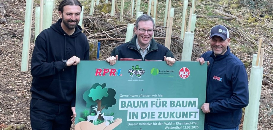 Mit RPR1. „Baum für Baum in die Zukunft“
Pflanzaktion im Limburg-Dürkheimer Wald
Symbolische Schildüberreichung;
von links: Thomas Hengen, Frank Stipp, Holger Schröder
Symbolische Schildüberreichung; von links: Thomas Hengen, Frank Stipp, Holger Schröder